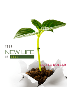 Your New Life by Grace (CDs/DVDs)