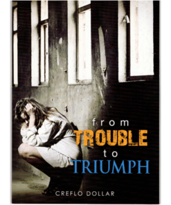 From Trouble to Triumph (Mini Book)